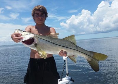 Snook Fishing Tampa Bay