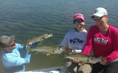 TAMPA FISHING CHARTERS / Stealth Fishing Charters