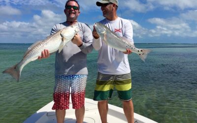 TAMPA FISHING CHARTERS / Stealth Fishing Charters