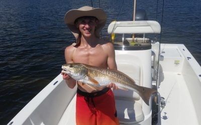 Tampa Fishing Charters / Stealth Fishing Charters