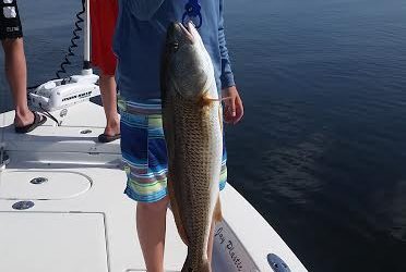 Tampa Fishing Charters / Stealth Fishing Charters