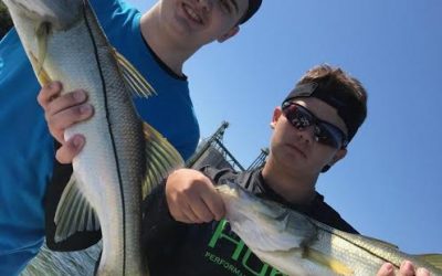 TAMPA FISHING CHARTERS / Stealth Fishing Charters