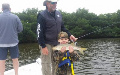 Tampa Fishing Charters / Stealth Fishing Charters