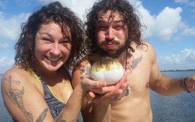 Tampa Fishing Charters / Stealth Fishing Charters