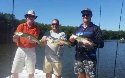 TAMPA FISHING CHARTER / Snook Fishing
