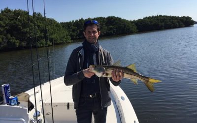 TAMPA FISHING CHARTER / Stealth Fishing Charters
