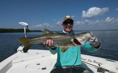 TAMPA FISHING CHARTERS / Stealth Fishing Charters