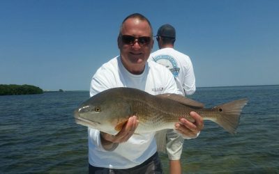TAMPA FISHING CHARTERS / Stealth Fishing Charters