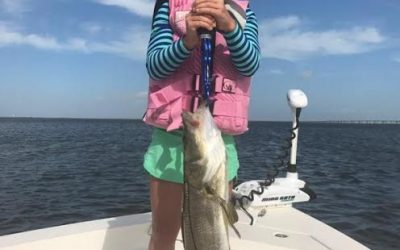 Tampa Fishing Charters / Stealth Fishing Charters