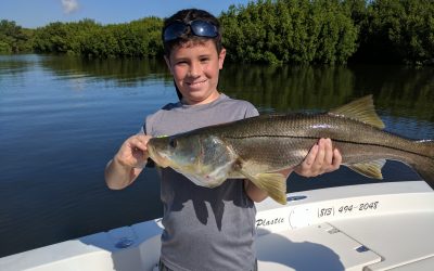 TAMPA FISHING CHARTERS / Stealth Fishing Charters
