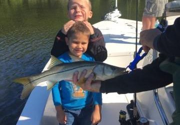 Snook Fishing Tampa Bay / Stealth Fishing Charters