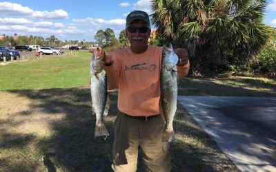 Opening Day of Snook Fishing Tampa Bay