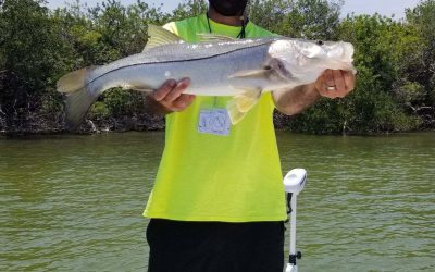 Tampa Fishing Charters / Stealth Fishing Charters