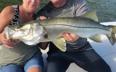 Snook Fishing Charters in Tampa