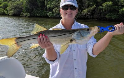 Summer Fishing Report: