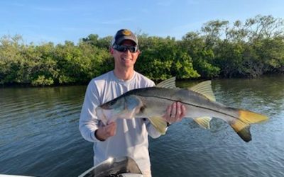 Tampa Fishing Charter Latest Report
