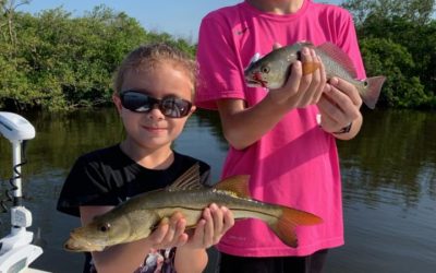 Tampa Fishing Charters