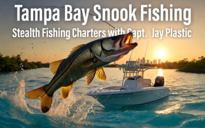 Tampa Bay Snook Fishing: Your Ultimate Guide to Inshore Action with Stealth Fishing Charters