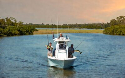 Tampa Bay Inshore Fishing Charters: The Ultimate Guide to Snook, Redfish & Unforgettable Trips with Stealth Fishing Charters